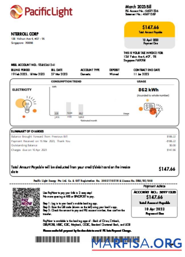 Printable Pacific Light electricity utility business bill SCR download for verification